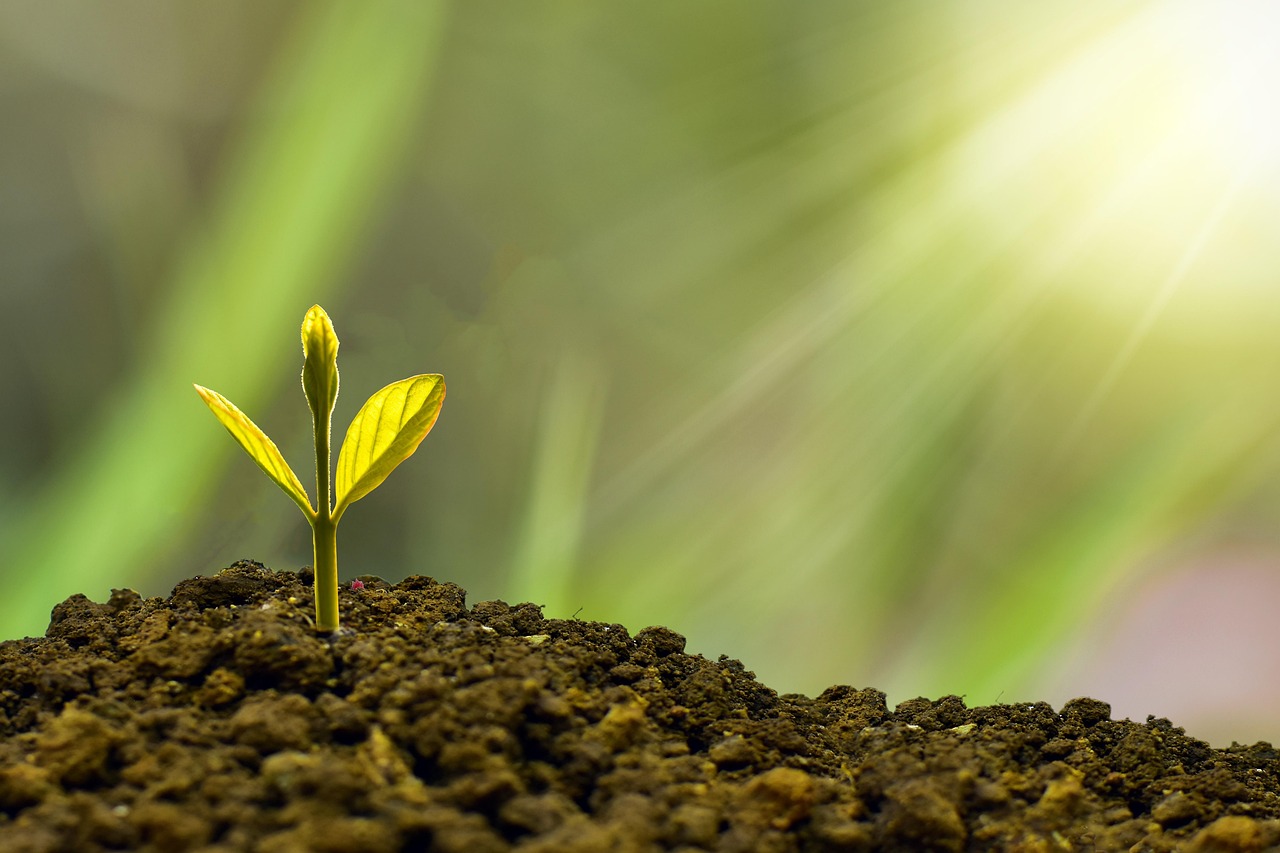 Grow Your Business with Proven Beginner Tips