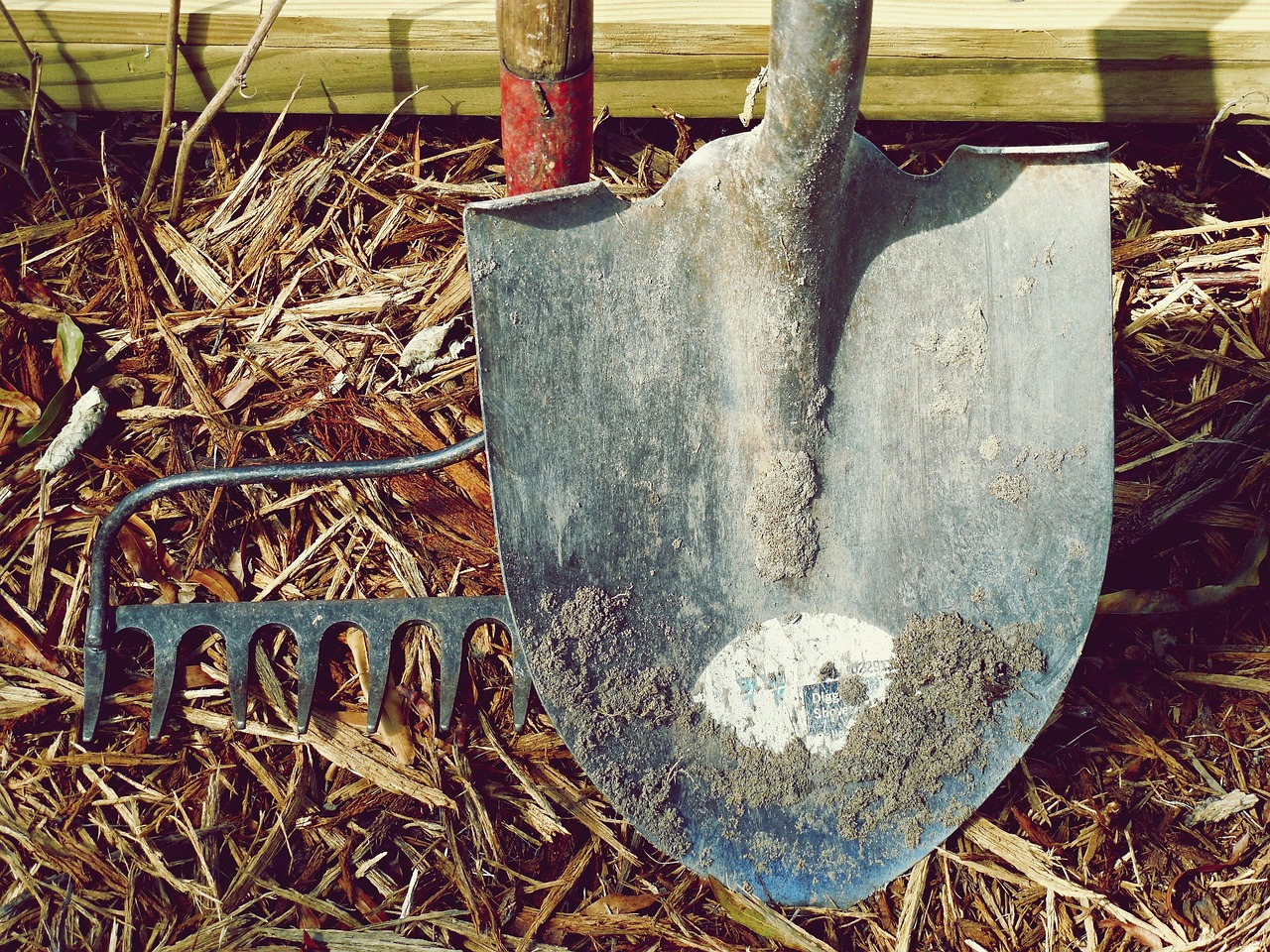 50 Free AI Tools to Boost Productivity