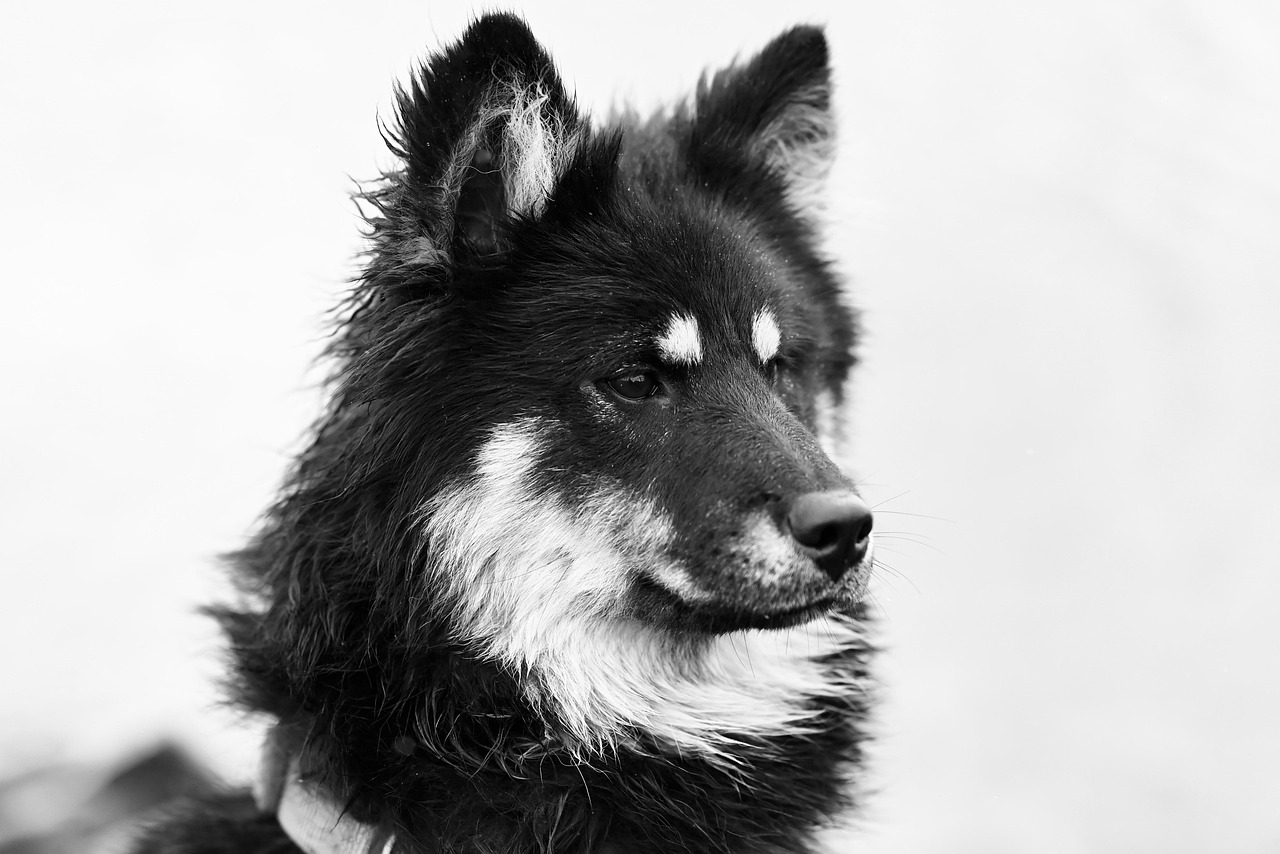 AI Image Generators: Avoiding Common Mistakes