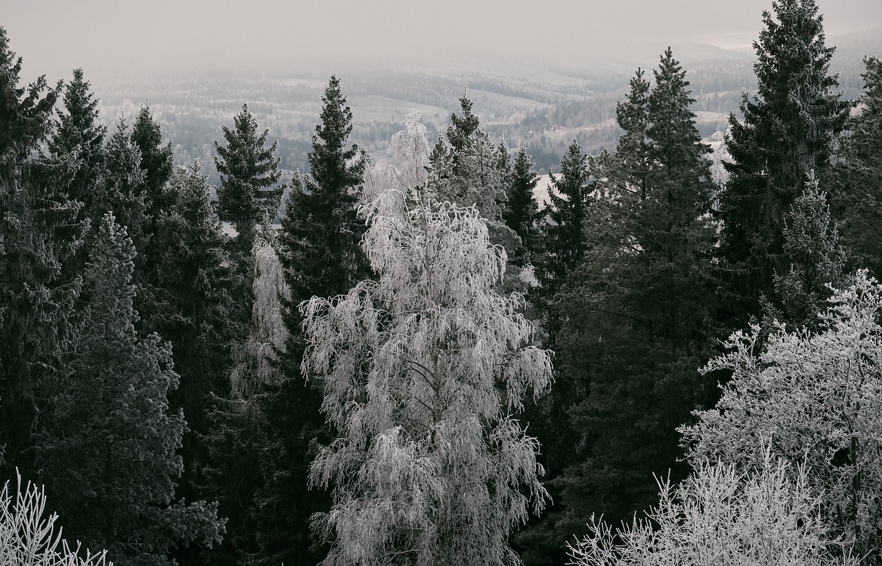 Evergreen Content Ideas 2026