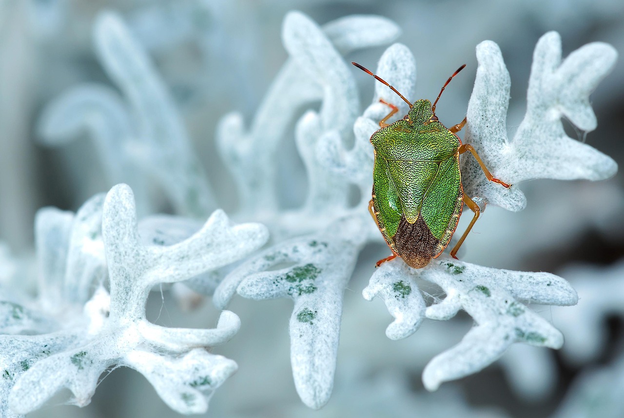 AI Bug Tracking Mistakes
