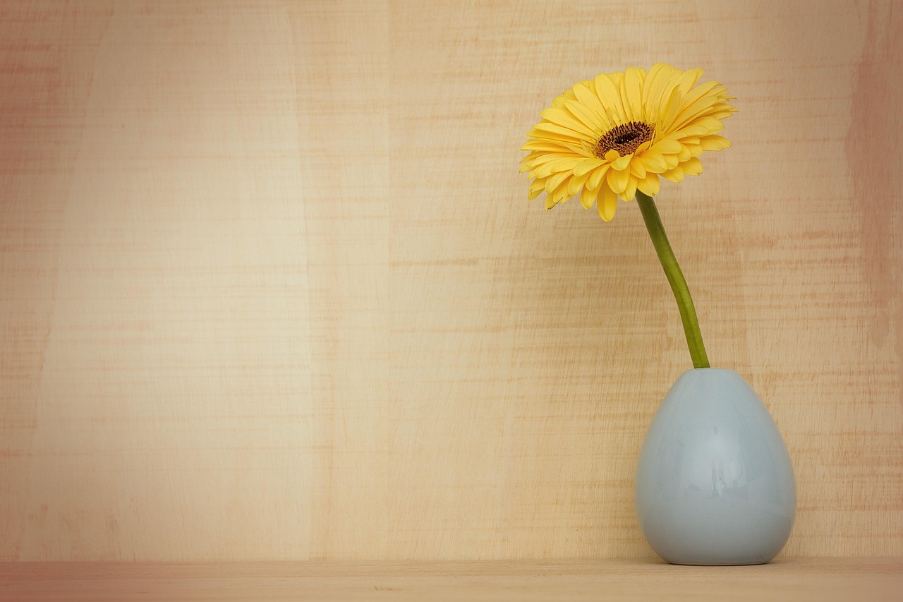 Creating a Calm Home Aesthetic
