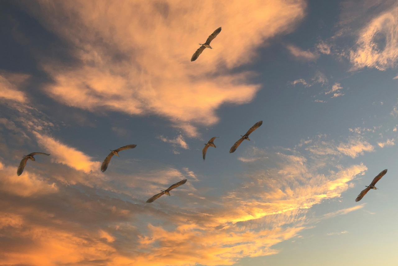 Cloud Migration Tools Strategies