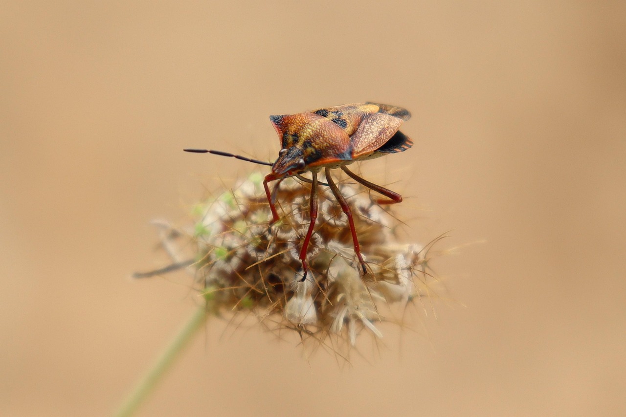 Revolutionizing Bug Tracking with AI