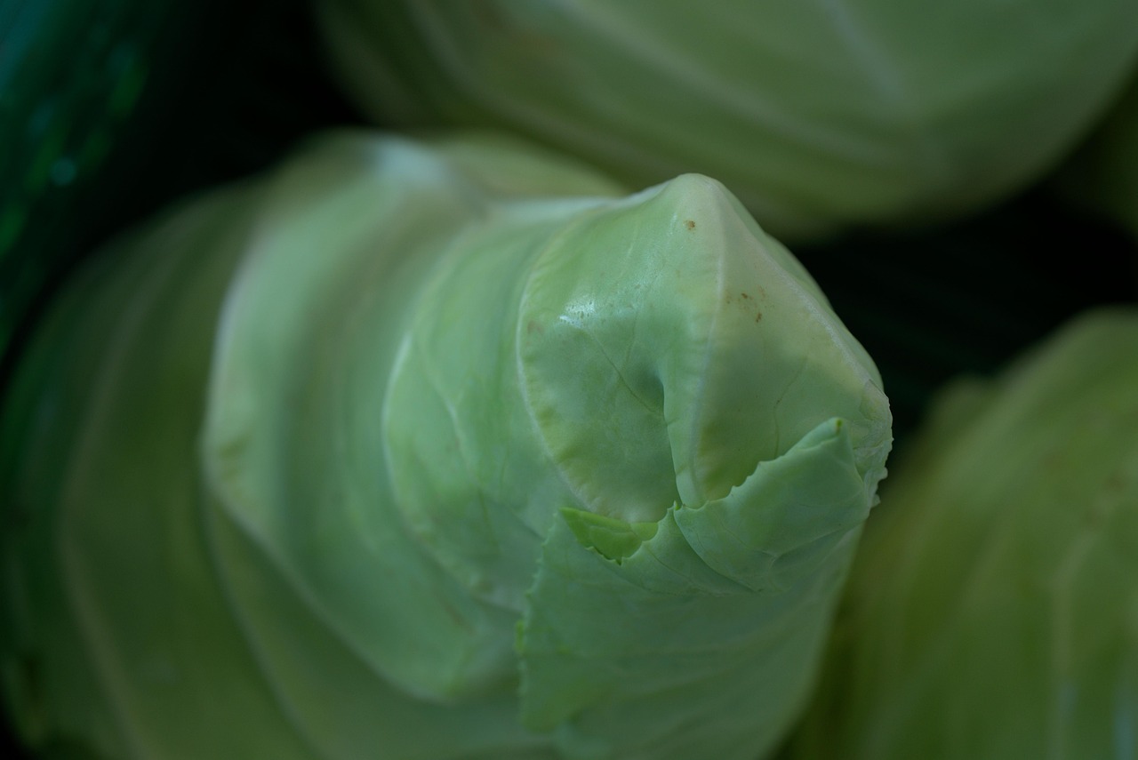 Easy Cabbage Soup Recipes