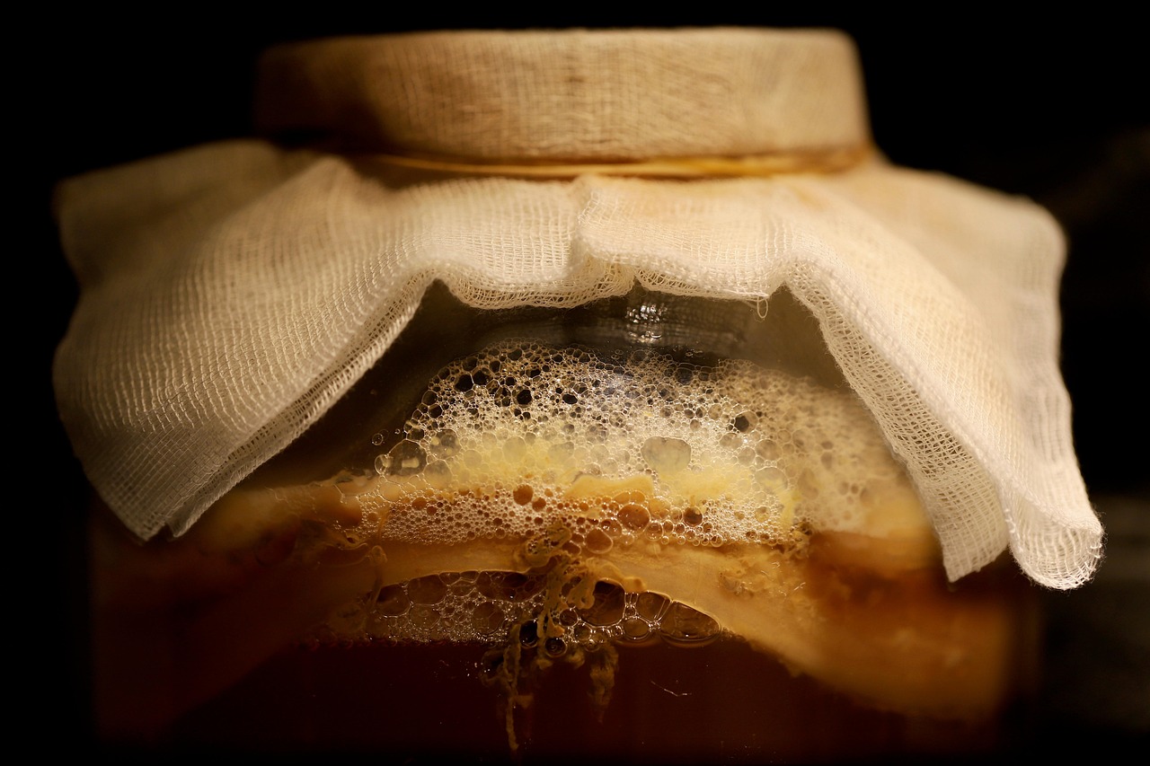 Fermented Vegetable Recipes