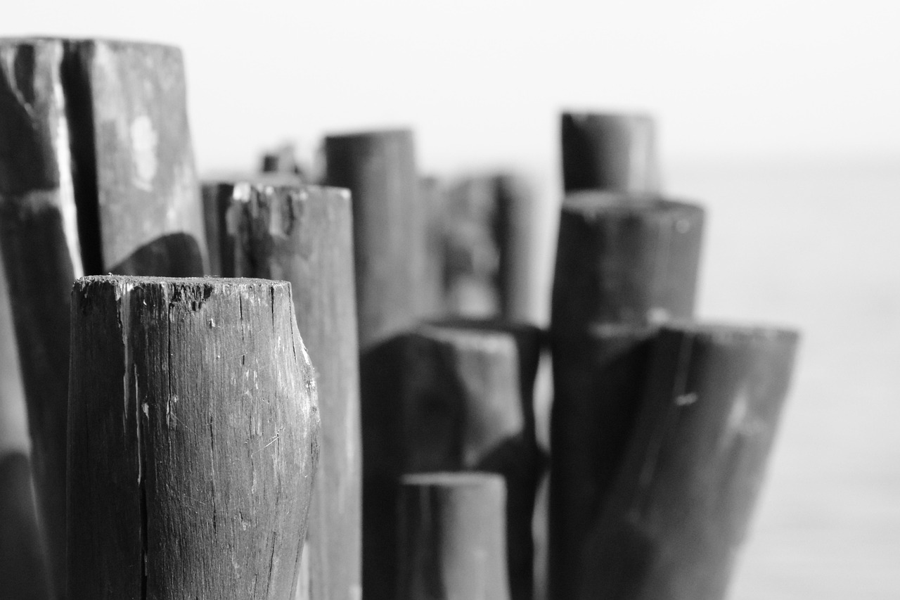 Navigating AI Compliance Tools