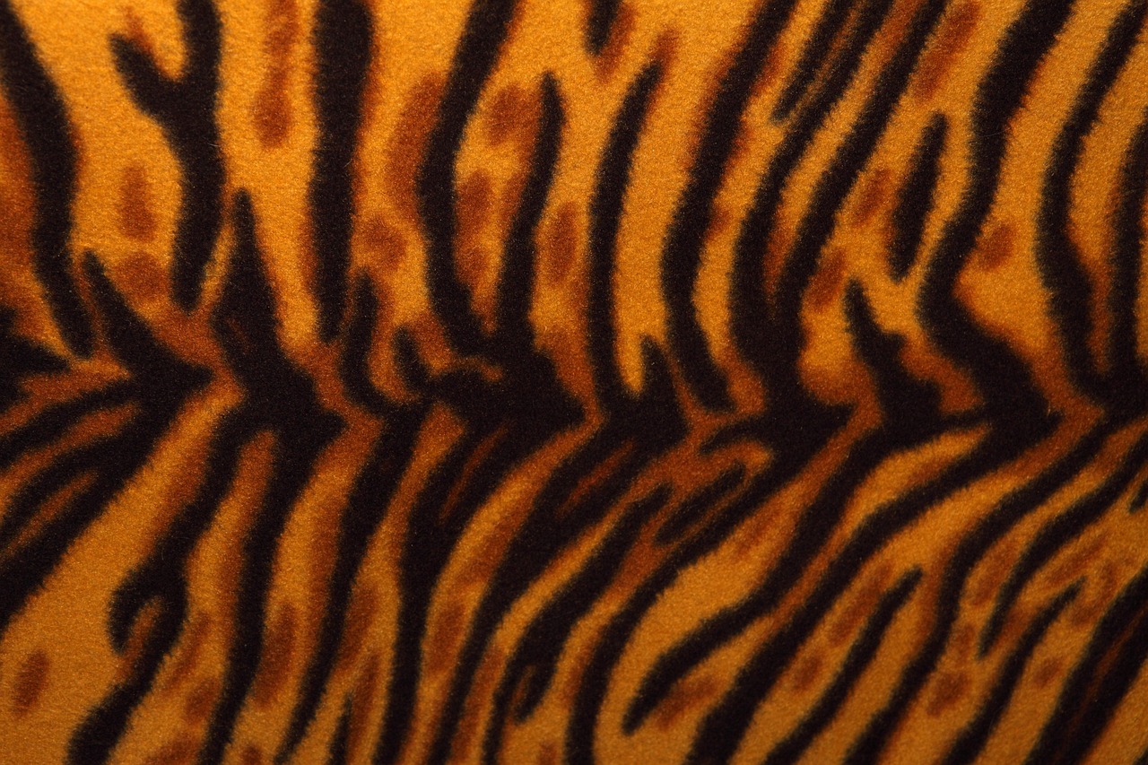 Bold Stripe Home Decor: Expert Beginner Tips for Stunning Spaces