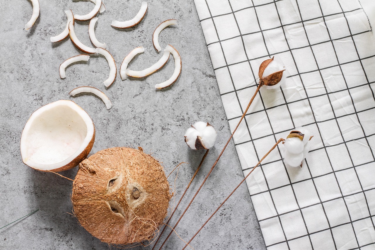 Organic Modern Decor: Trends, Case Study & Actionable Guide