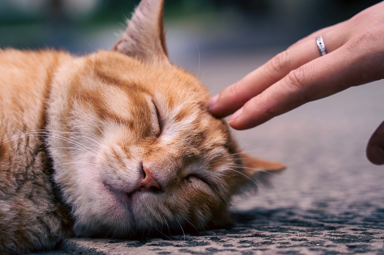 AI Long-Form Content Generators: Real Examples That Defy the Hype